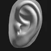 Ear