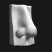 Nose