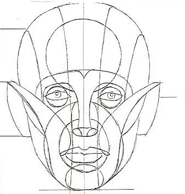 A line drawing of the Reilly abstraction on a frontal head: proportional division lines running across the face, overlapping ovals on the eye sockets, muzzle and chin, and long curves sweeping from the temples across the cheekbones to the jaw.