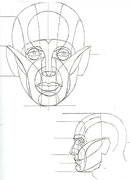 The Reilly abstraction drawn twice, front view above and profile below. Horizontal division lines run off to the sides, ovals sit over the eye sockets, muzzle and chin, and long curves sweep from the temples across the cheekbones and round the jaw.