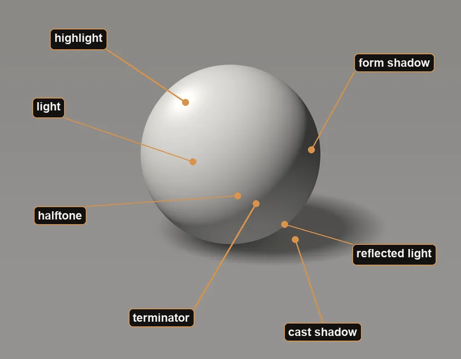 A shaded sphere on a flat surface with seven zones labelled: highlight, light, halftone, terminator, form shadow, reflected light along the lower right edge, and cast shadow on the surface beside it.